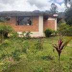 WhatsApp Image 2022-03-29 at 4.04.19 PM