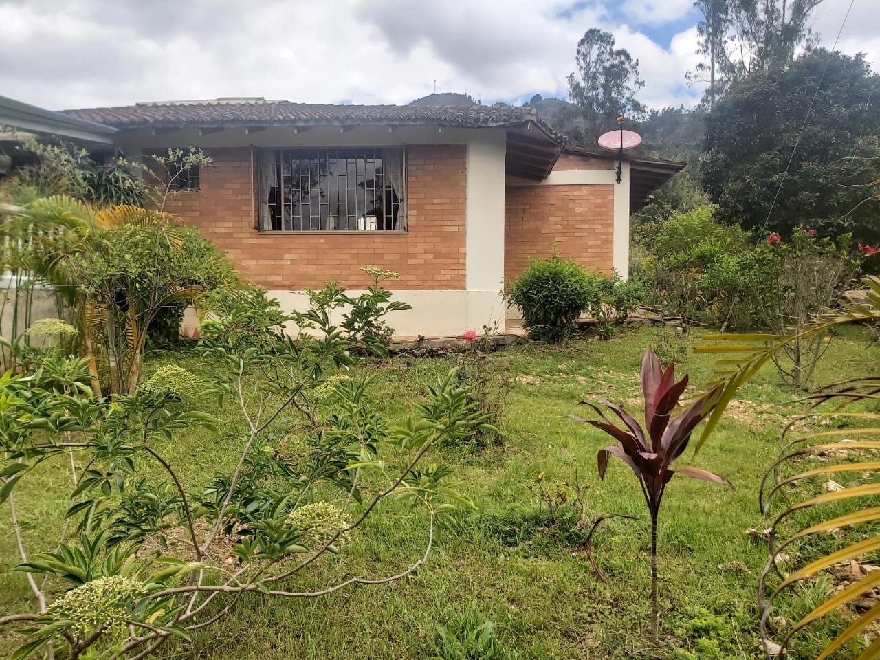 WhatsApp Image 2022-03-29 at 4.04.19 PM