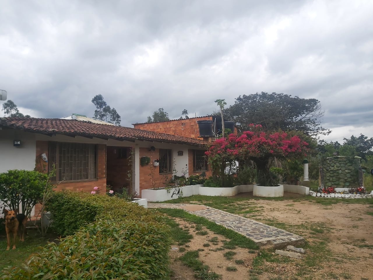 WhatsApp Image 2022-03-29 at 4.04.20 PM