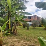 WhatsApp Image 2022-03-29 at 4.04.23 PM