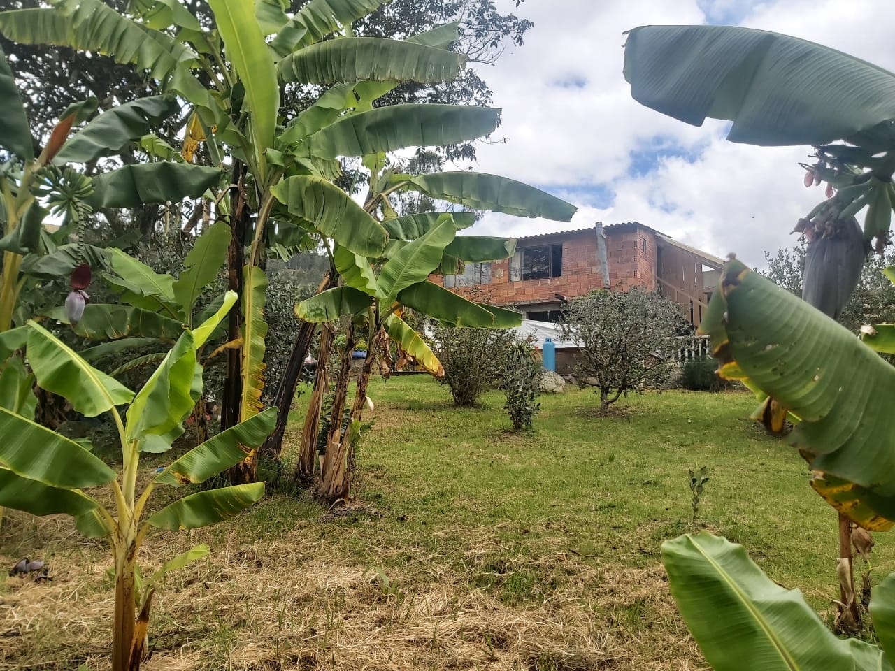 WhatsApp Image 2022-03-29 at 4.04.23 PM