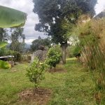 WhatsApp Image 2022-03-29 at 4.04.24 PM