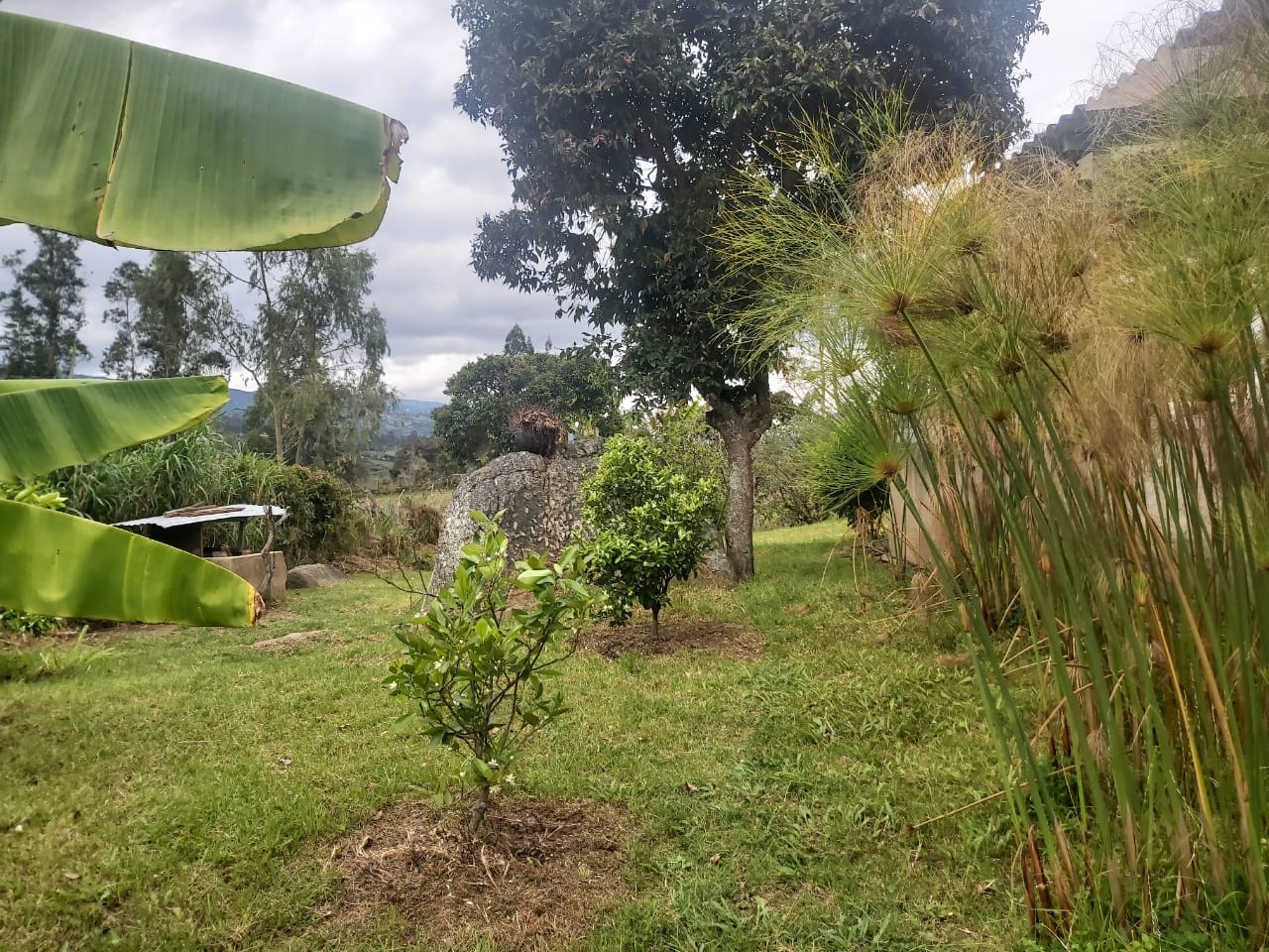 WhatsApp Image 2022-03-29 at 4.04.24 PM