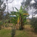 WhatsApp Image 2022-03-29 at 4.04.30 PM