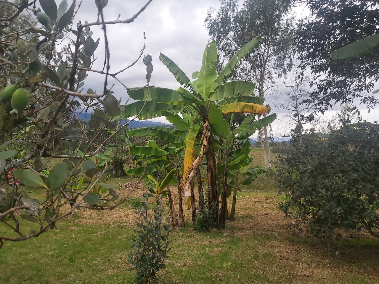 WhatsApp Image 2022-03-29 at 4.04.30 PM