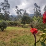 WhatsApp Image 2022-03-29 at 4.04.31 PM (1)