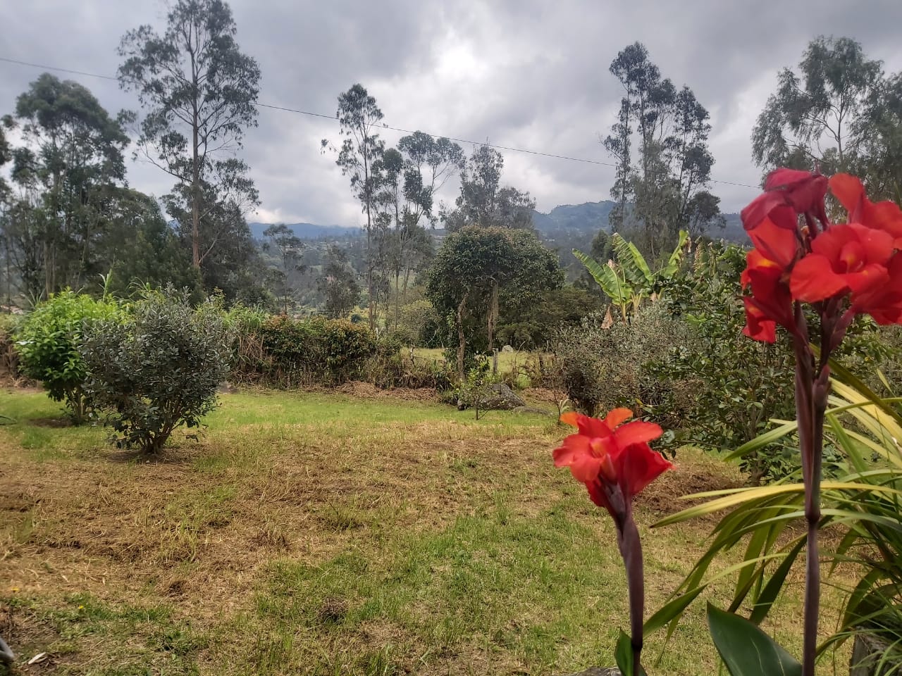 WhatsApp Image 2022-03-29 at 4.04.31 PM (1)