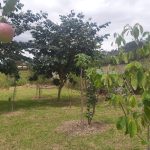 WhatsApp Image 2022-03-29 at 4.04.31 PM