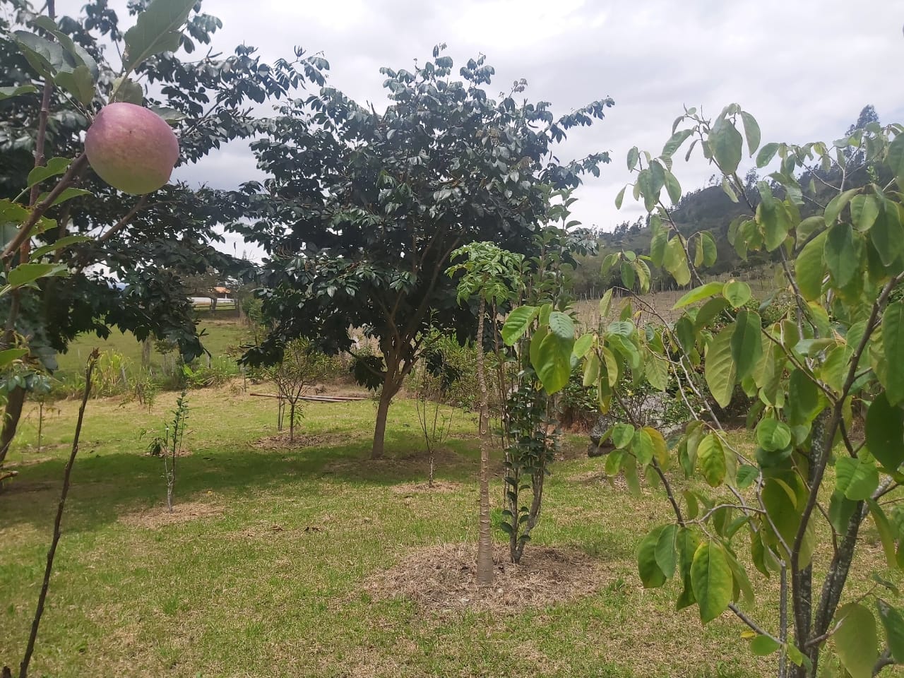 WhatsApp Image 2022-03-29 at 4.04.31 PM