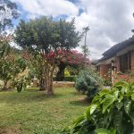 WhatsApp Image 2022-03-29 at 4.04.32 PM