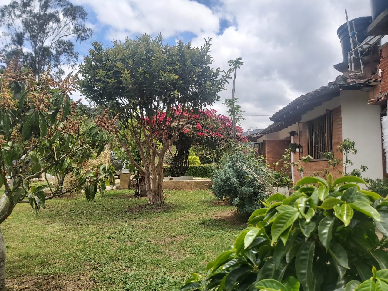 WhatsApp Image 2022-03-29 at 4.04.32 PM