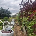 WhatsApp Image 2022-03-29 at 4.04.36 PM (1)