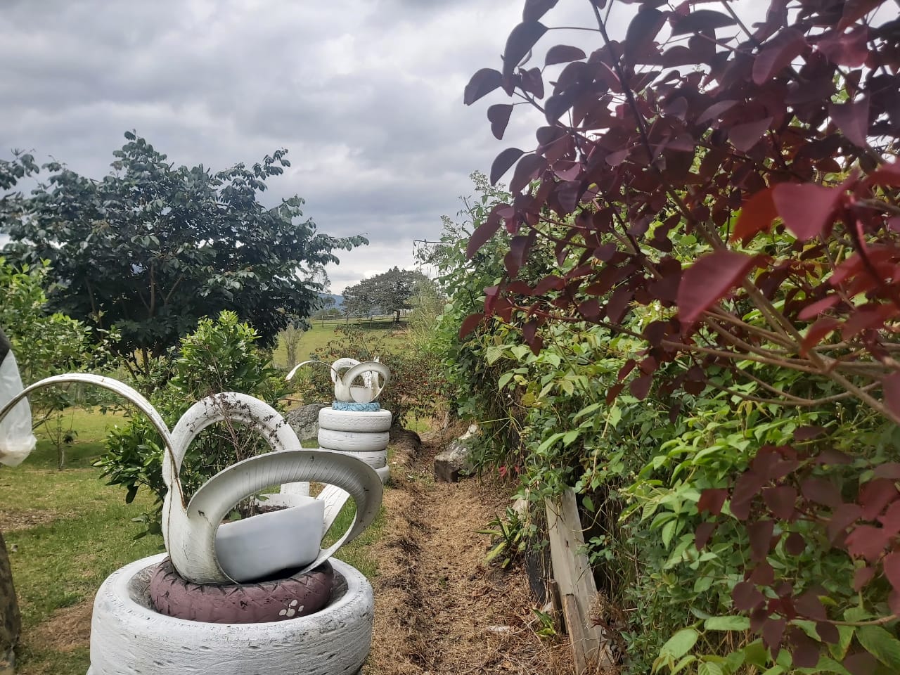 WhatsApp Image 2022-03-29 at 4.04.36 PM (1)