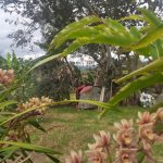 WhatsApp Image 2022-03-29 at 4.04.36 PM