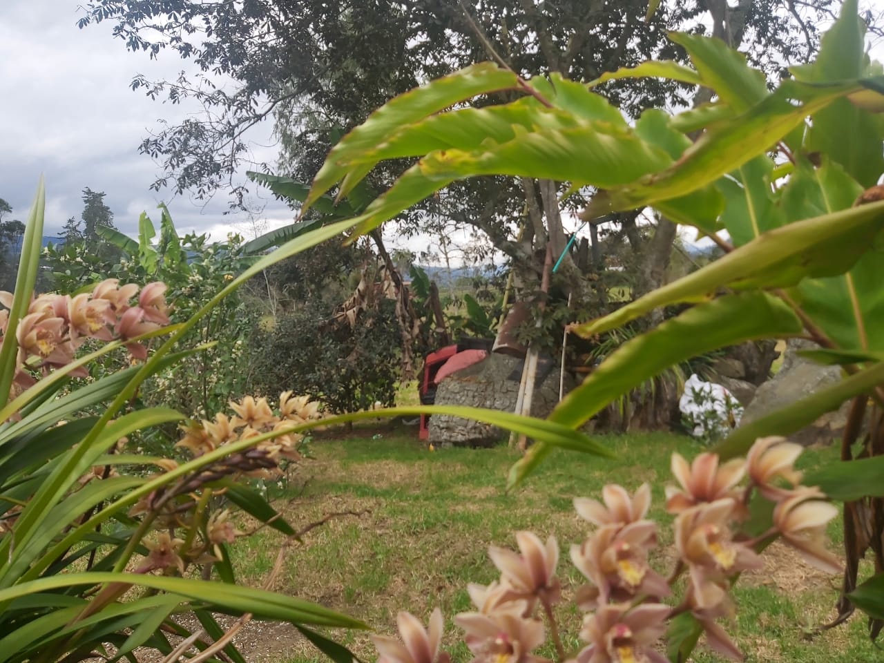 WhatsApp Image 2022-03-29 at 4.04.36 PM