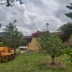 WhatsApp Image 2022-03-29 at 4.04.38 PM