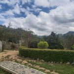 WhatsApp Image 2022-03-29 at 4.04.42 PM