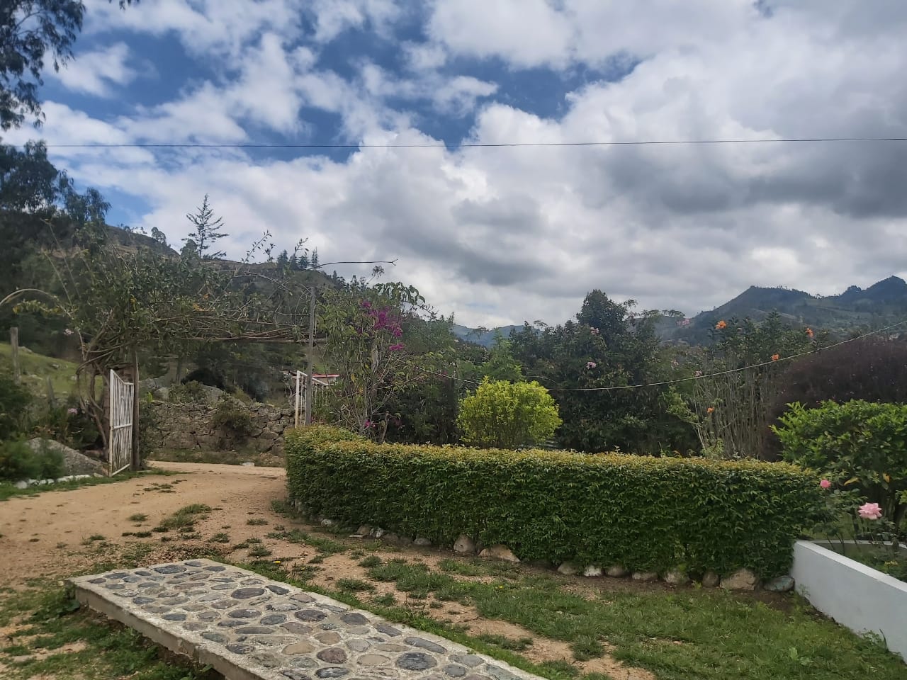 WhatsApp Image 2022-03-29 at 4.04.42 PM