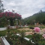 WhatsApp Image 2022-03-29 at 4.04.43 PM (1)