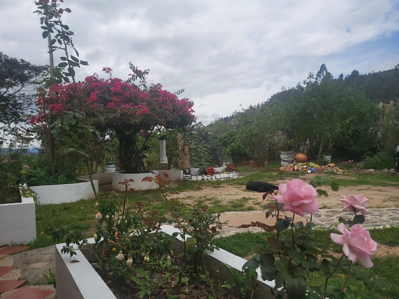 WhatsApp Image 2022-03-29 at 4.04.43 PM (1)