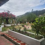 WhatsApp Image 2022-03-29 at 4.04.44 PM