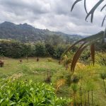 WhatsApp Image 2022-03-29 at 4.04.47 PM