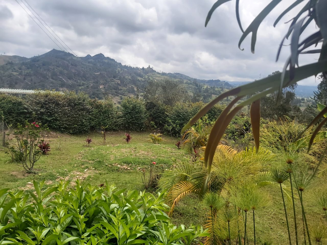 WhatsApp Image 2022-03-29 at 4.04.47 PM