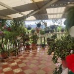 WhatsApp Image 2022-03-29 at 4.04.51 PM