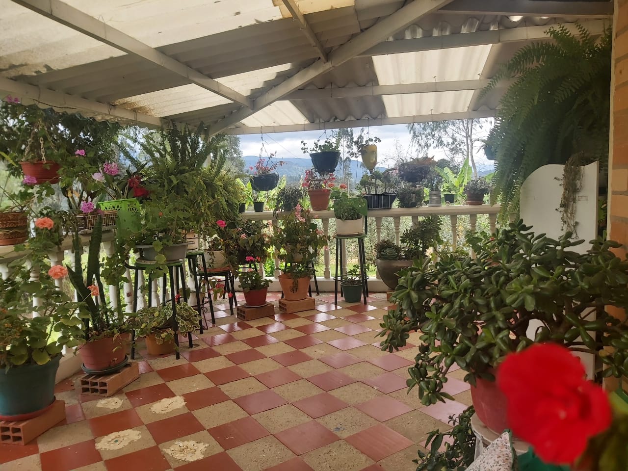 WhatsApp Image 2022-03-29 at 4.04.51 PM