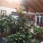 WhatsApp Image 2022-03-29 at 4.05.12 PM (1)