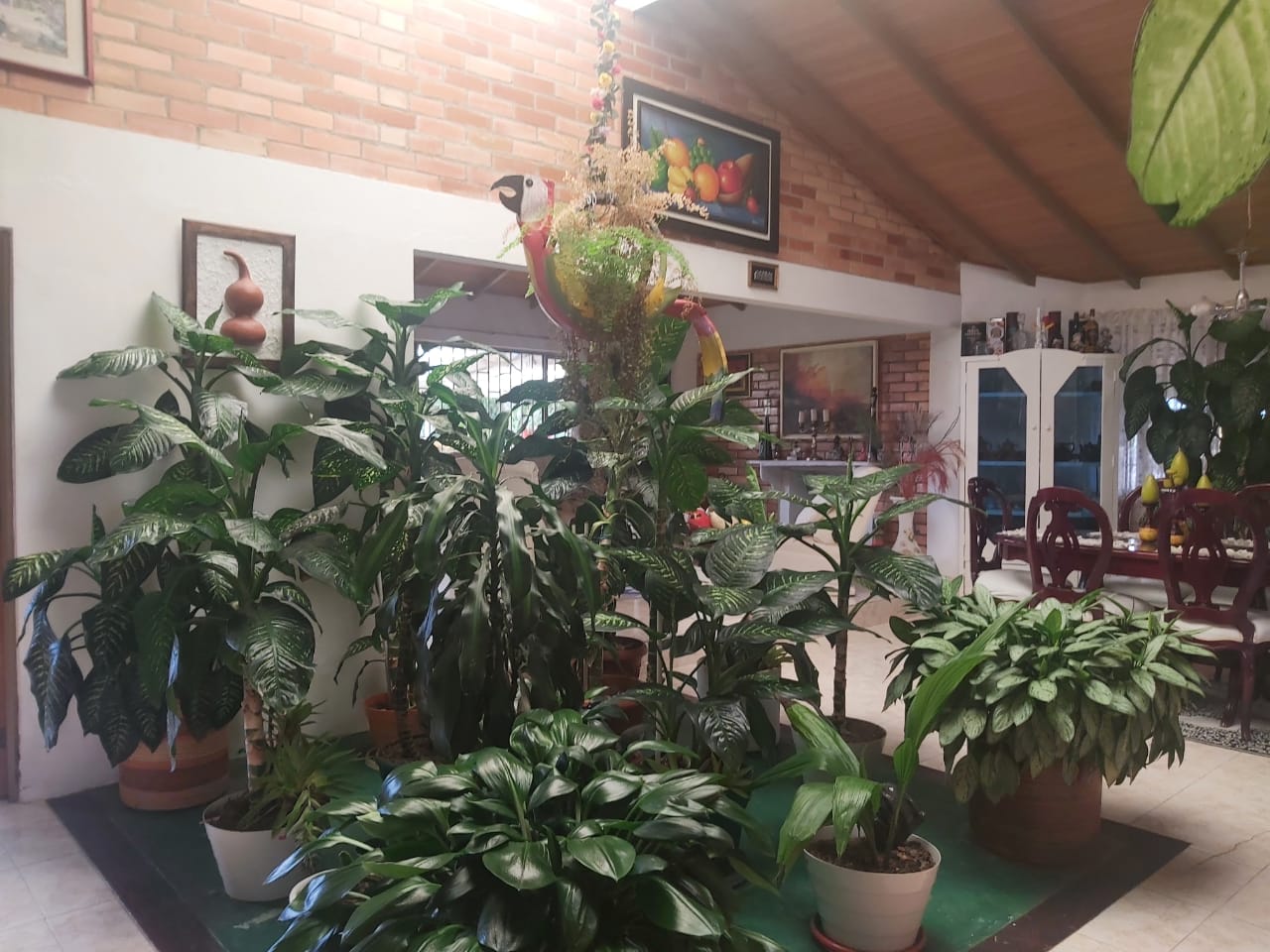 WhatsApp Image 2022-03-29 at 4.05.12 PM (1)