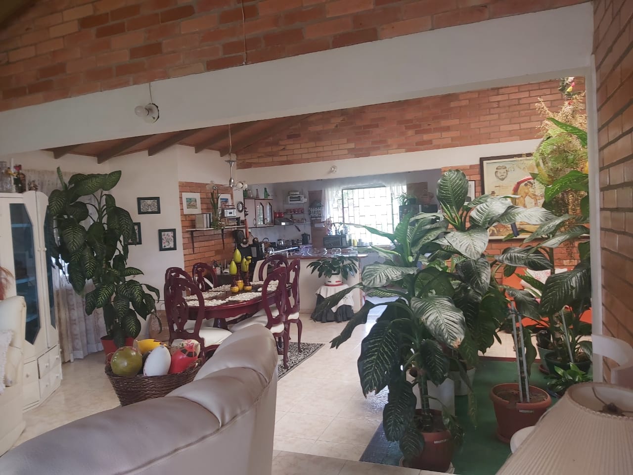 WhatsApp Image 2022-03-29 at 4.05.19 PM (1)