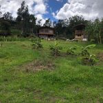 WhatsApp Image 2024-05-03 at 10.05.58 AM