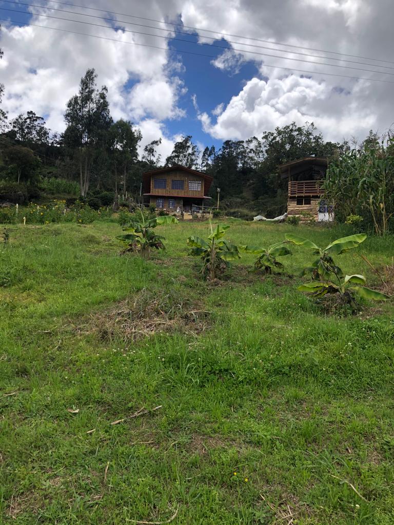 WhatsApp Image 2024-05-03 at 10.05.58 AM