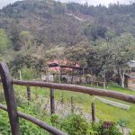 WhatsApp Image 2024-05-21 at 5.28.50 PM