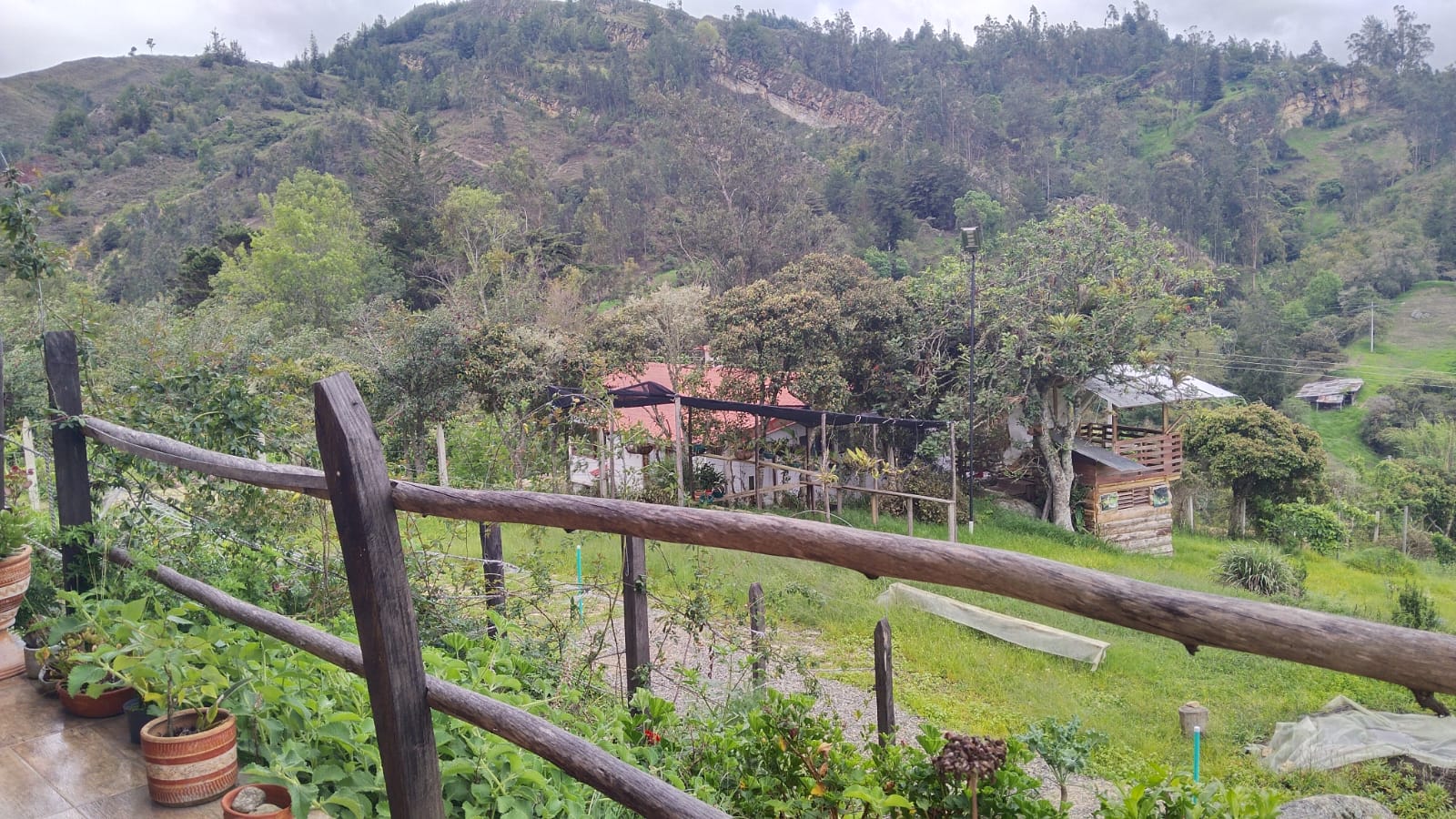 WhatsApp Image 2024-05-21 at 5.28.50 PM