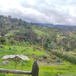 WhatsApp Image 2024-05-21 at 5.28.51 PM