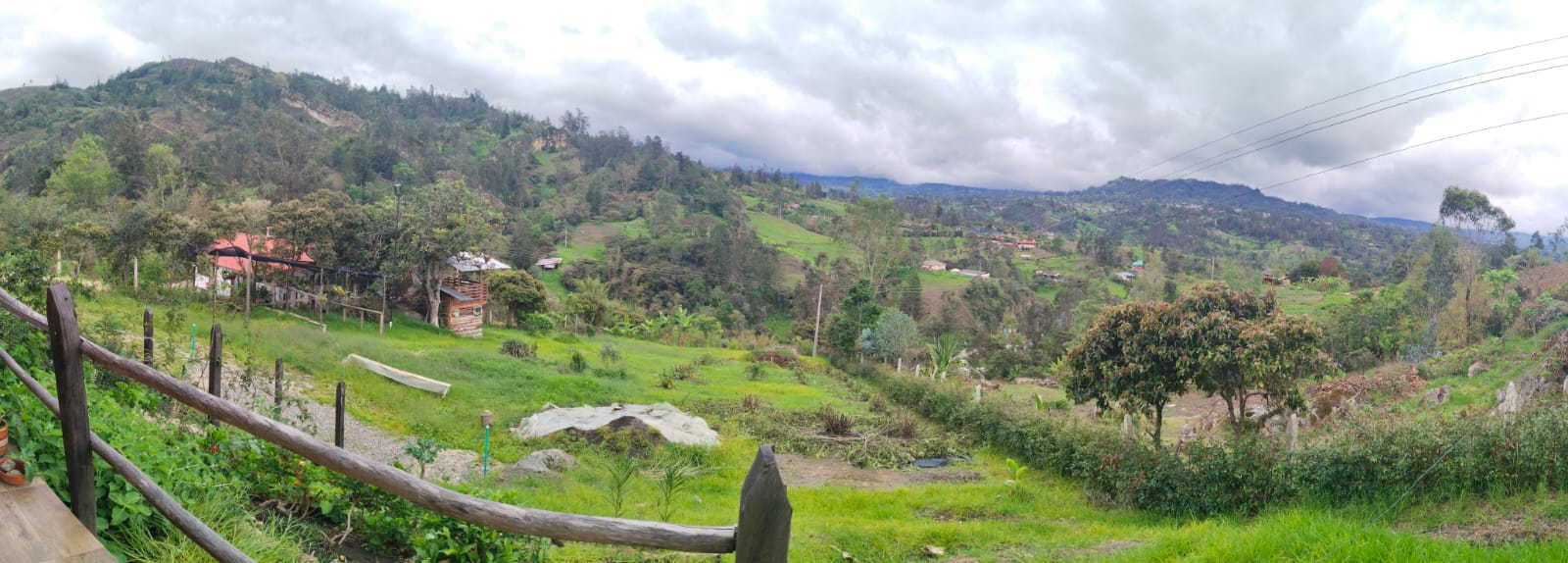 WhatsApp Image 2024-05-21 at 5.28.51 PM