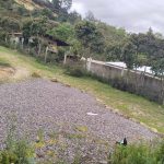 WhatsApp Image 2024-05-21 at 5.28.52 PM