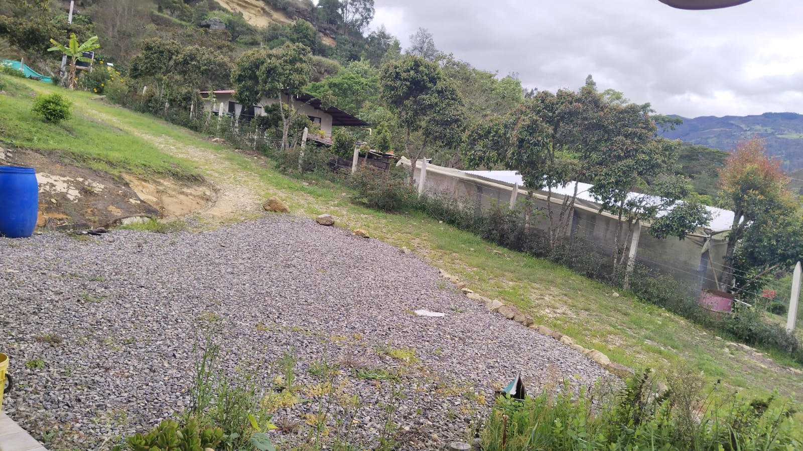 WhatsApp Image 2024-05-21 at 5.28.52 PM