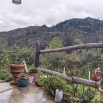 WhatsApp Image 2024-05-21 at 5.28.53 PM