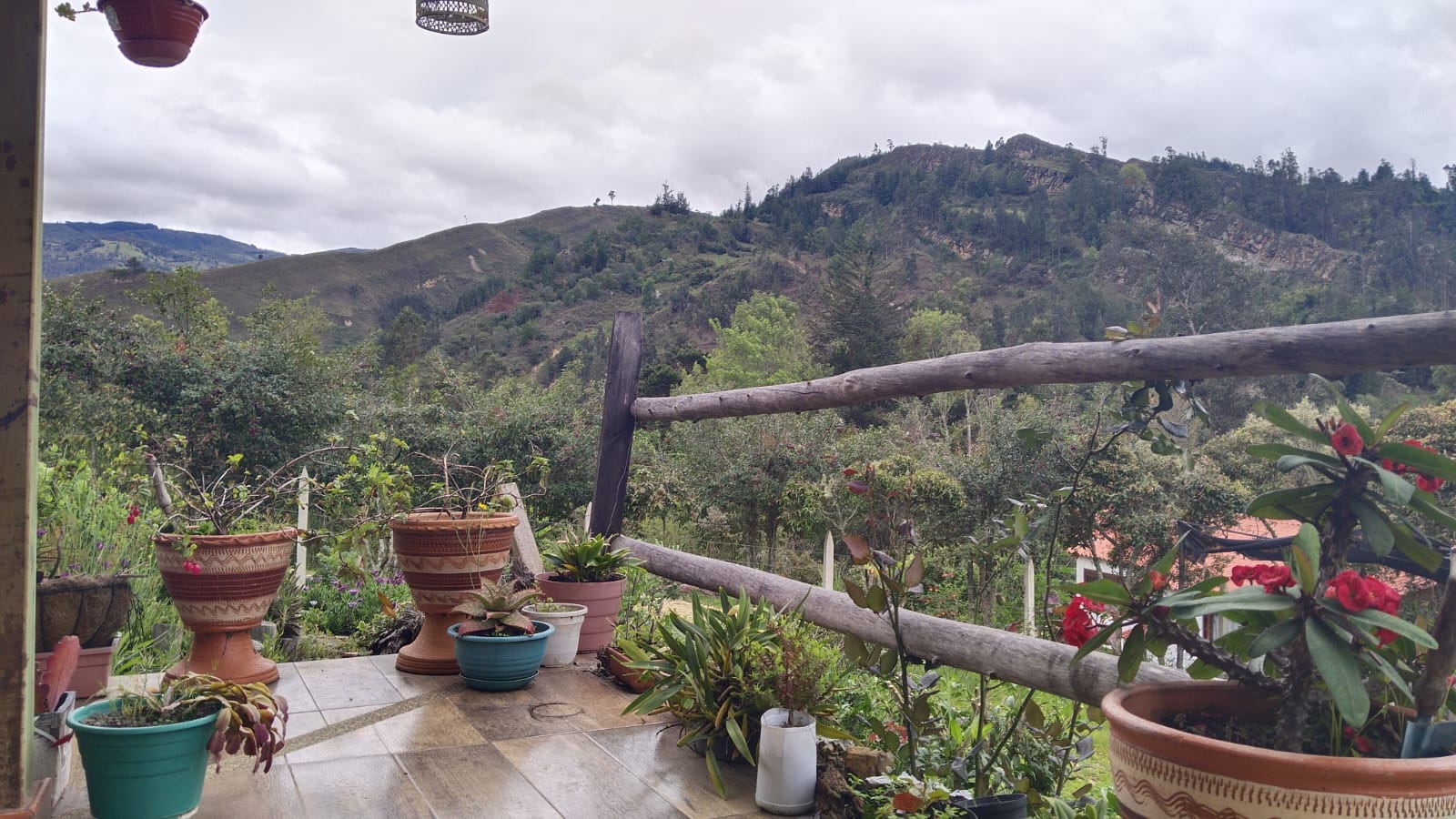 WhatsApp Image 2024-05-21 at 5.28.53 PM