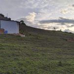 WhatsApp Image 2024-05-30 at 6.08.19 PM (1)