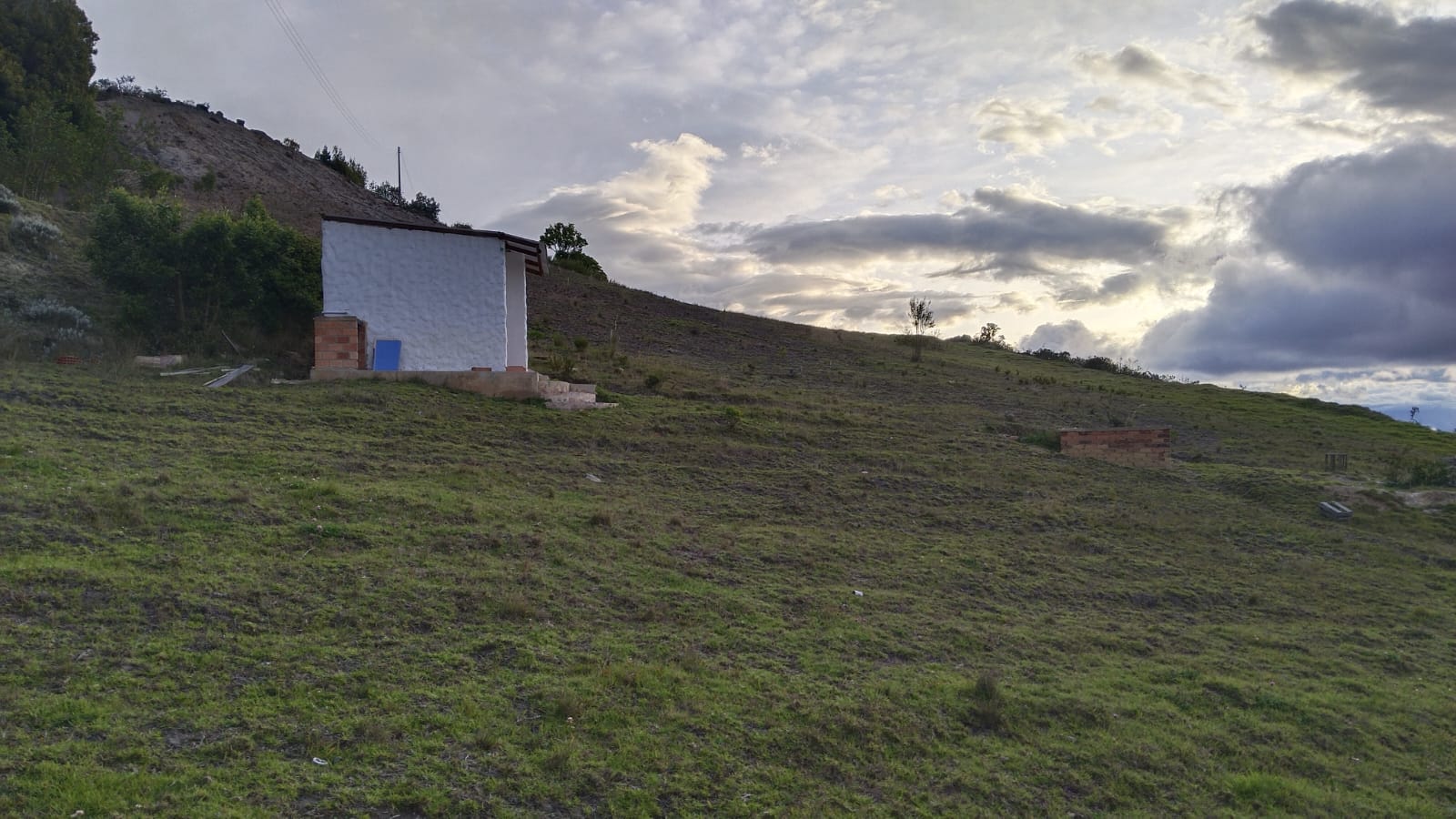 WhatsApp Image 2024-05-30 at 6.08.19 PM (1)