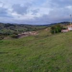 WhatsApp Image 2024-05-30 at 6.08.19 PM