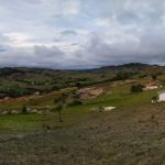 WhatsApp Image 2024-05-30 at 6.08.26 PM