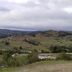 WhatsApp Image 2024-05-30 at 6.08.40 PM