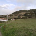 WhatsApp Image 2024-05-30 at 6.08.42 PM