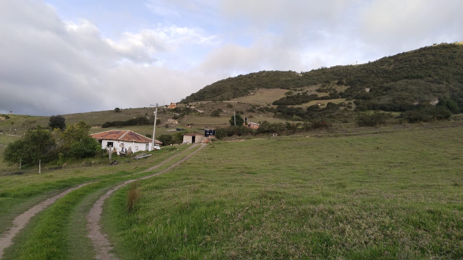 WhatsApp Image 2024-05-30 at 6.08.42 PM