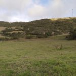 WhatsApp Image 2024-05-30 at 6.08.44 PM